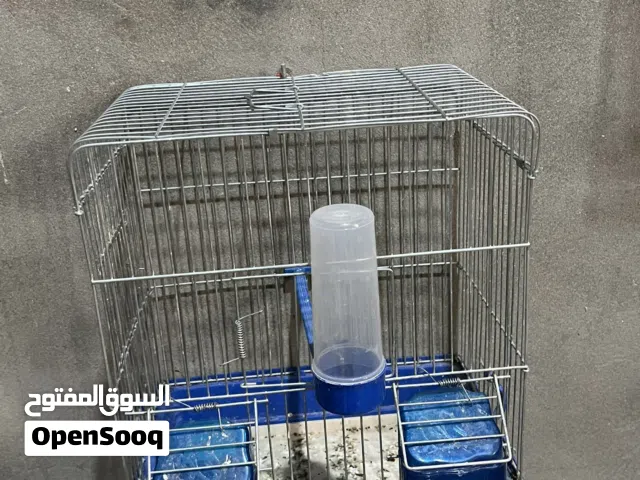 السلام عليكم