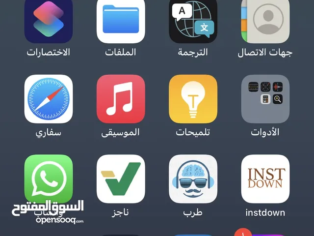 Apple iPhone XS Max 256 GB in Dammam