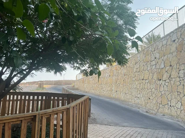 ملاك دويكات