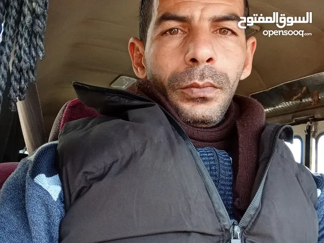 محمد الجيزاوي
