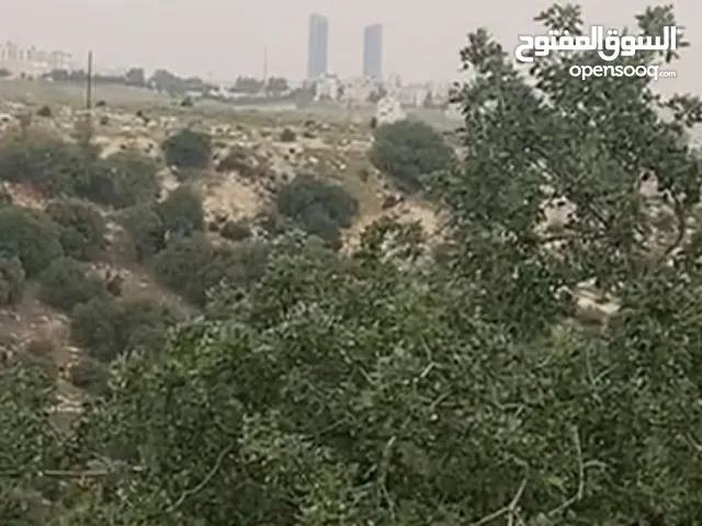 قطعه ارض مميزه جدا لاصحاب مشاريع الفلل منطقه بلال راس خلف بالقرب من دابوق