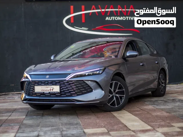 2024, بي واي دي, كين