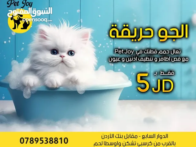 حمام قطط و كلاب خدمة احترافية