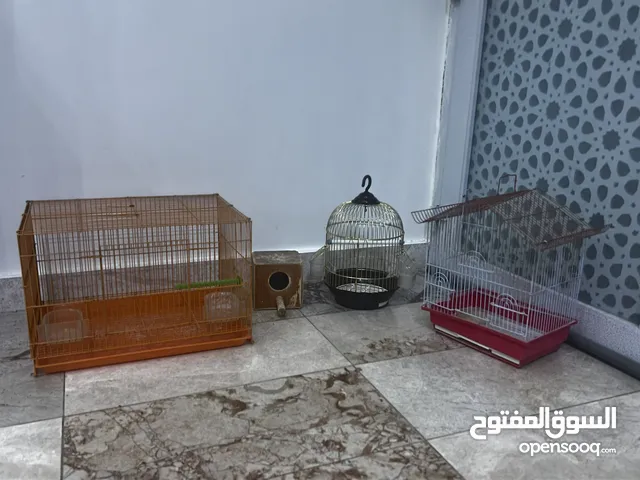 أقفاص طيور للبيع