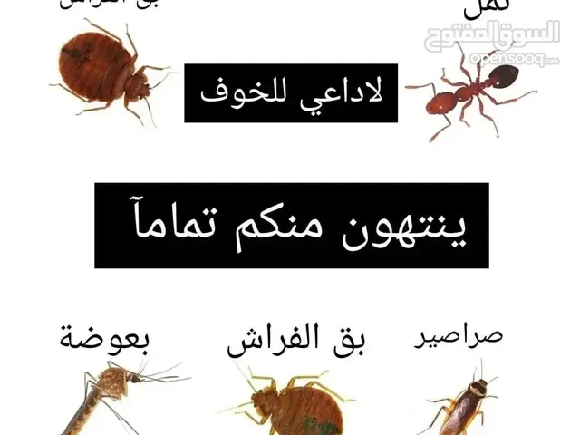 افضل شركة لمكافحة الحشرات في اسطنبول