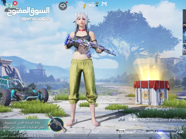 Pubg Accounts and Characters for Sale in Cairo