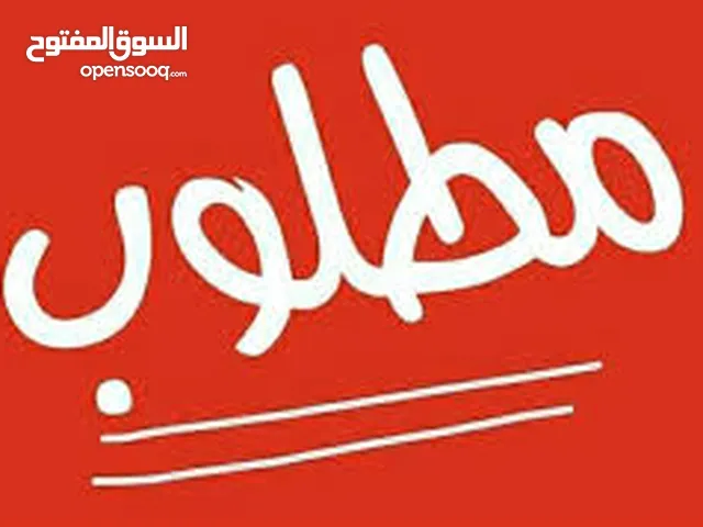 مطلوب حبش احمر (تركي)