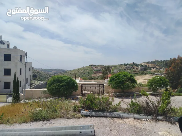 دنم و 44 م مقابل مضافة الدرادكة دنم ب القمة عالي