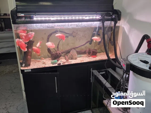 مجموعة أحواض سمك اجنبية بدون اي عيب