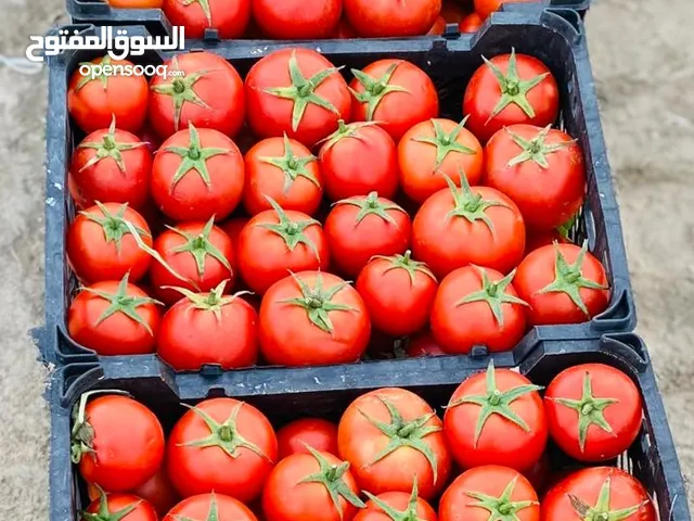 طماطم مع بذور