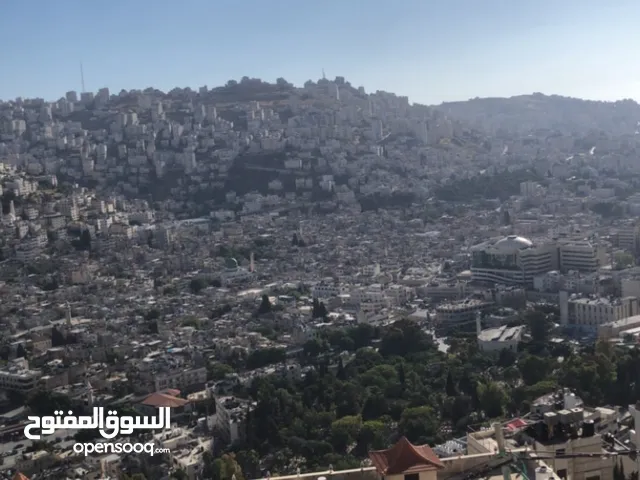 شقة ب اطلالة مميزة فش شارع ابو بكر الجبل الشمالي نابلس