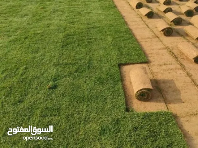 اثاث حدائق للبيع : أشجار ونباتات : معدات حائق : كنب و مراجيح : ارخص الاسعار  في الرياض