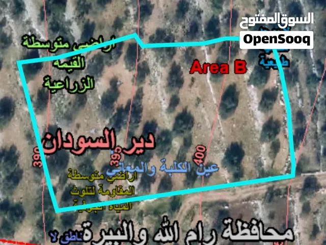 Farm Land for Sale in Ramallah and Al-Bireh Dayr Al-Sudan