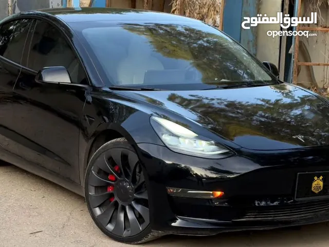 Tesla Model 3 Performance 2023
