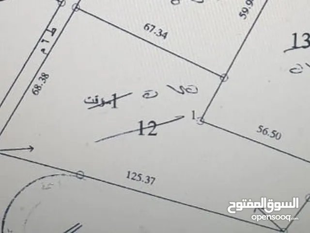 ارض 6 دونمات مزروعة زيتون في الصبيحي سعر مغري 100000 قرب التنظيم
