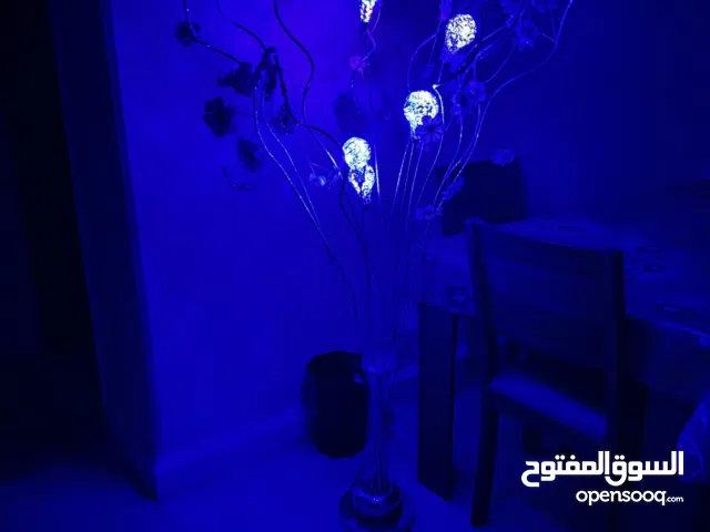 عدد 2برواز للبيع بحاله جيده جدا وانوار ديكور