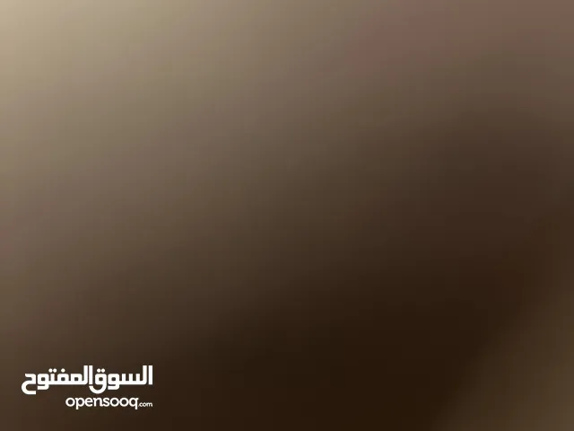 متاح جوز حسون تحتو فراخ الجوز اول بطن الجوز فراخ عش التسليم الجبيهة