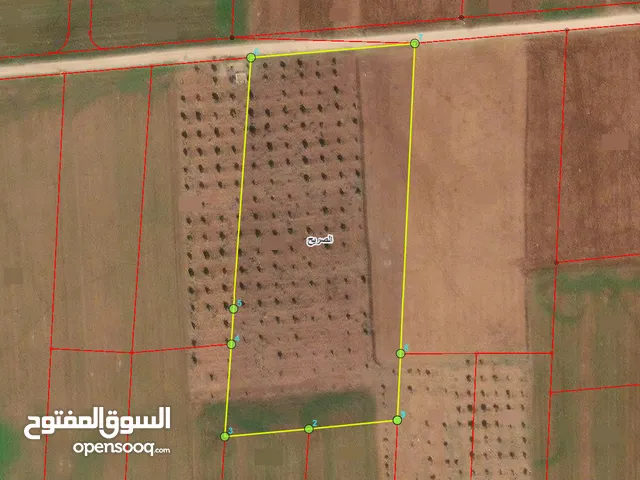 Farm Land for Sale in Irbid Al Sareeh