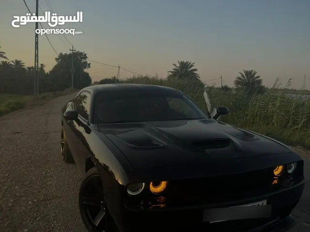 Used Dodge Challenger in Wasit