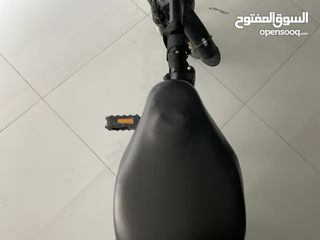 Pick up only Electric bicycle