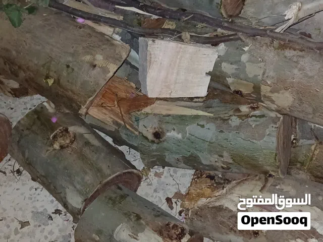 حطب للبيع اكثر من طن