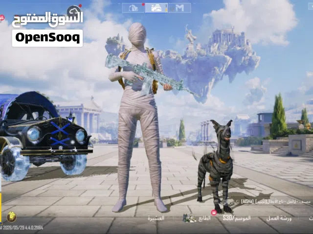 Pubg Accounts and Characters for Sale in Assiut