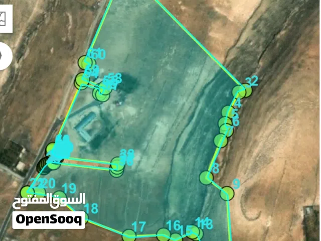 Farm Land for Sale in Tafila Al-Ayes