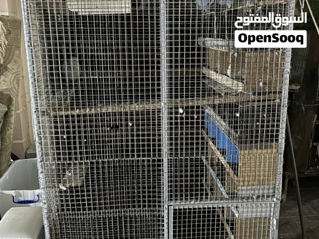 للبيع قفص طيور