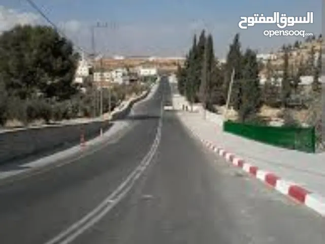 Mixed Use Land for Sale in Hebron Tapuah