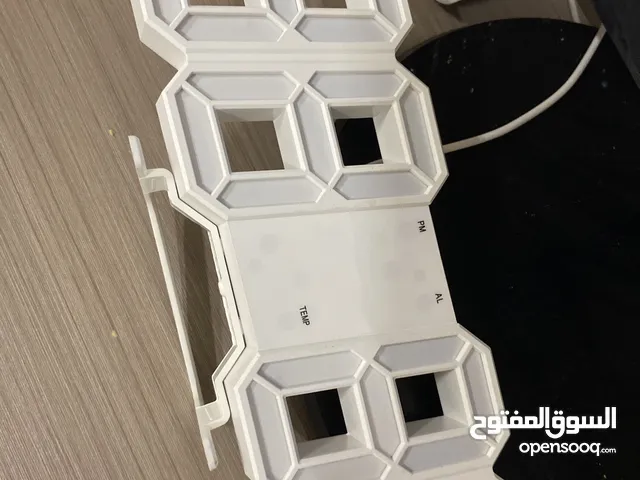 شغال ما يشكي من شي