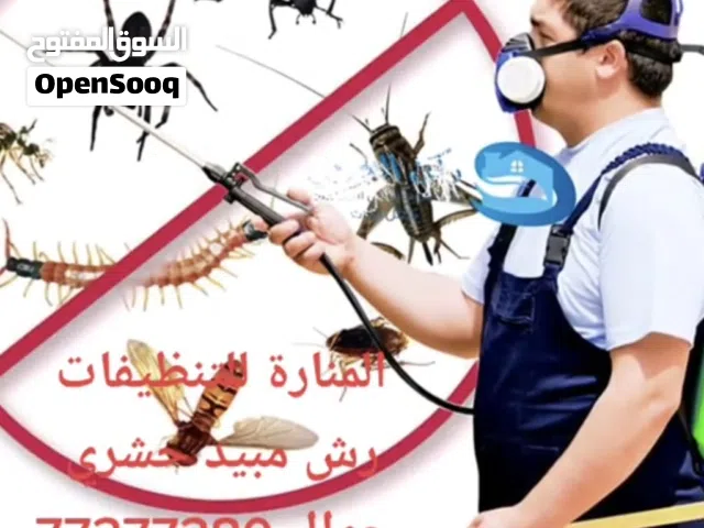 رش مبيدات حشرية