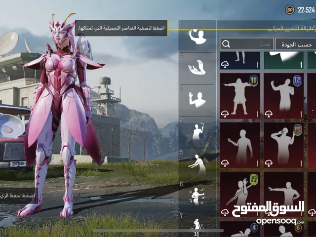 Pubg Accounts and Characters for Sale in Zarqa