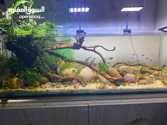 FULL SETUP AQUARIUM AND FULL ACCESORIES