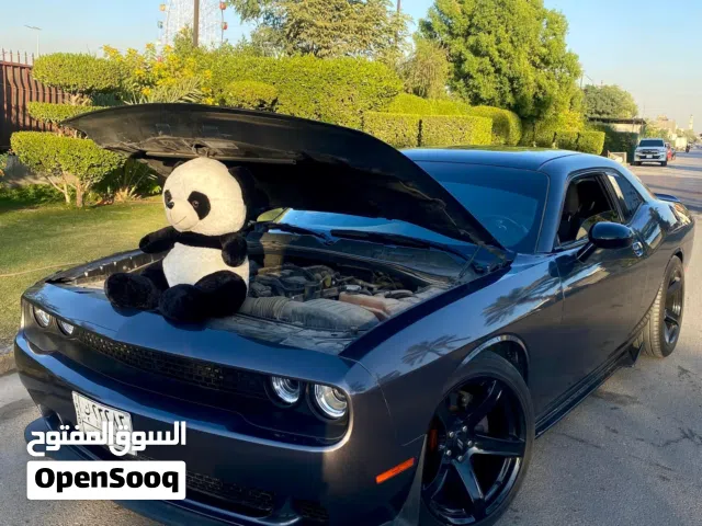 جالنجر 2019 R/T