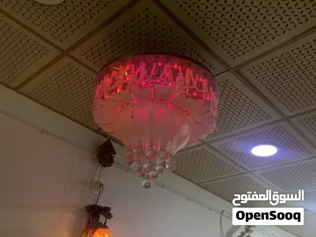 ثرية نظيفه للبيع