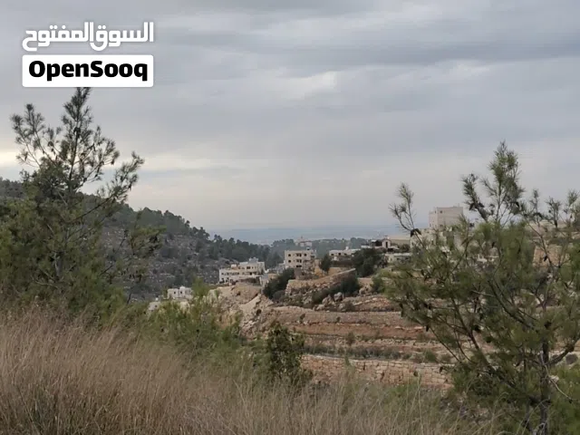 Residential Land for Sale in Hebron Bir AlMahjir