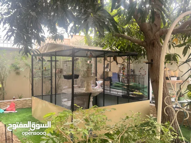 Bird aviary - قفص طيور