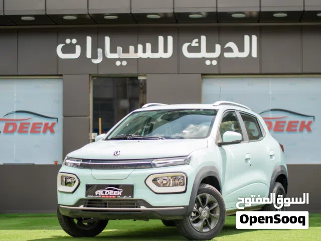 2022, دونج فينج, EX1