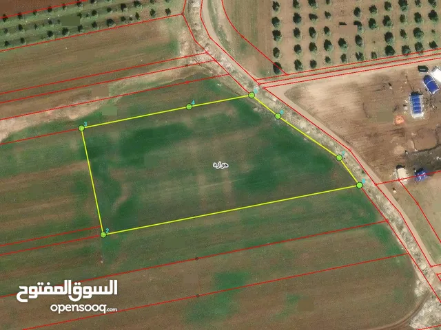 Farm Land for Sale in Irbid Huwwarah