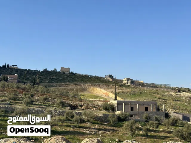 ارض 3400 متر بيرين صروت حوض التلعة شارع رائيسي مشجرة