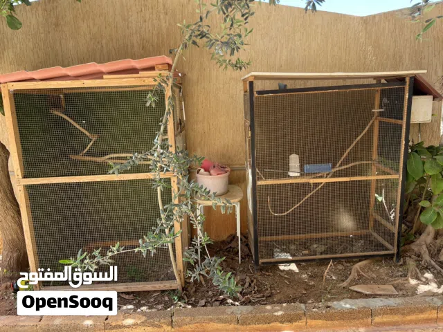 براكة طيور قفص
