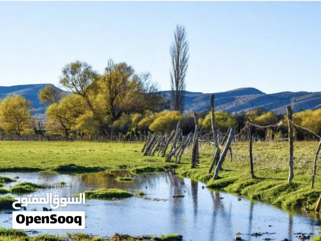 صور قابلة للطباعة جودة عالية