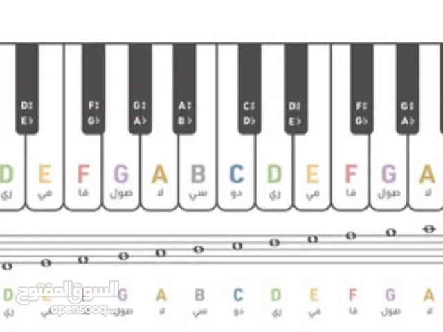Piano Lessons for All Levels – Learn with a Professional Music Tutor!
