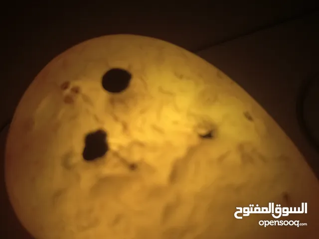 السلام عليكم حجر عقيق سليماني على شكل وجه انسان للمهتمين طبيعي من النوادر التسليم في الاردن