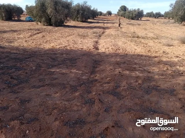 Farm Land for Sale in Tripoli Other