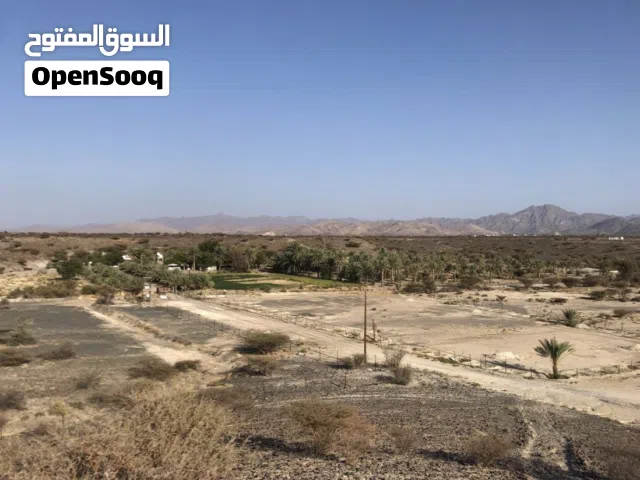 Farm Land for Sale in Al Sharqiya Other