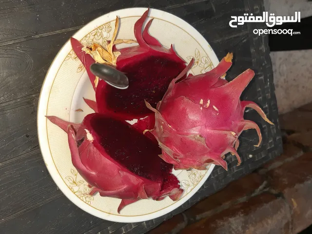 عقل دراقون فروت