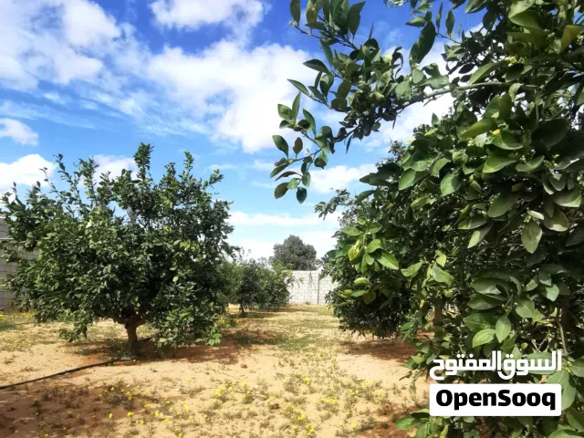 2 Bedrooms Farms for Sale in Tripoli Wadi Al-Rabi