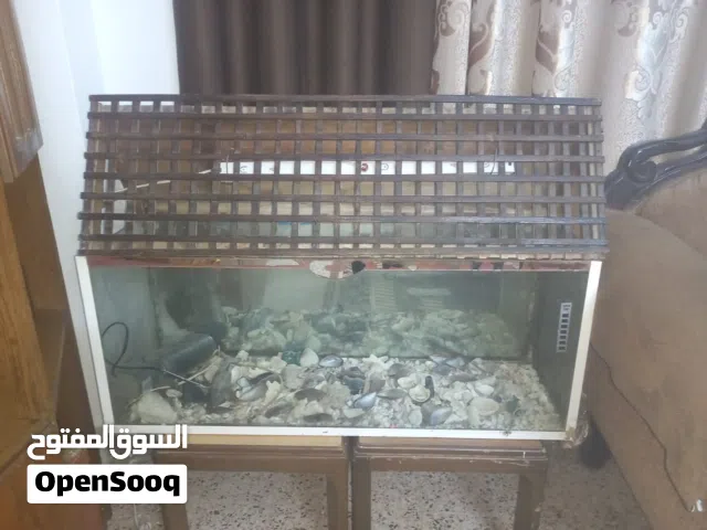 حوض سمك كبير للبيع