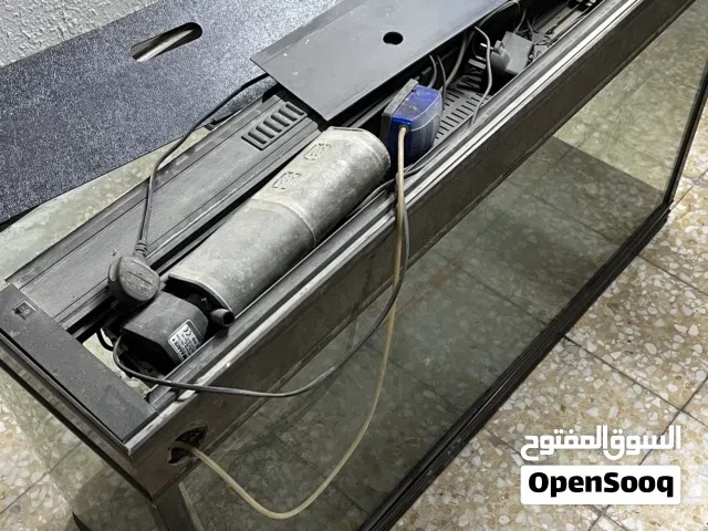 حوض سمك كبير مع كامل ملحقاته 1000درهم قابل للتفاوض
